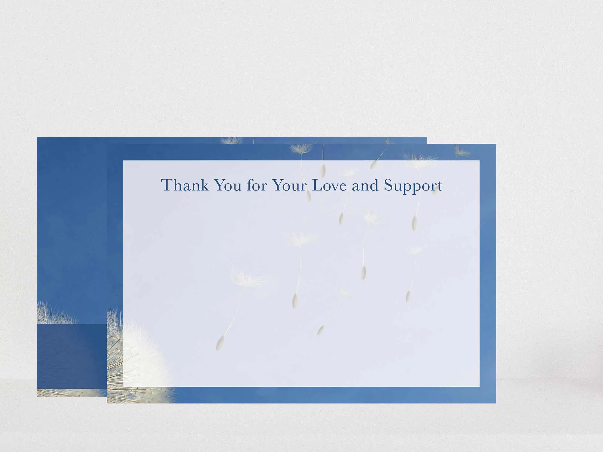 Thank You Card Back