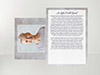 Memorial Card Back