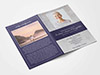 Standard Program Back