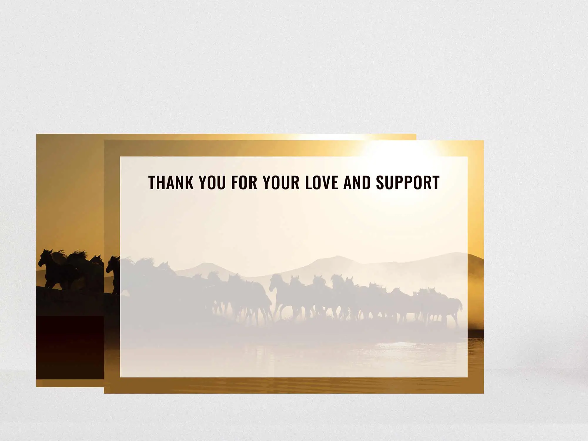 Thank You Card Back