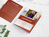 Large Program Front