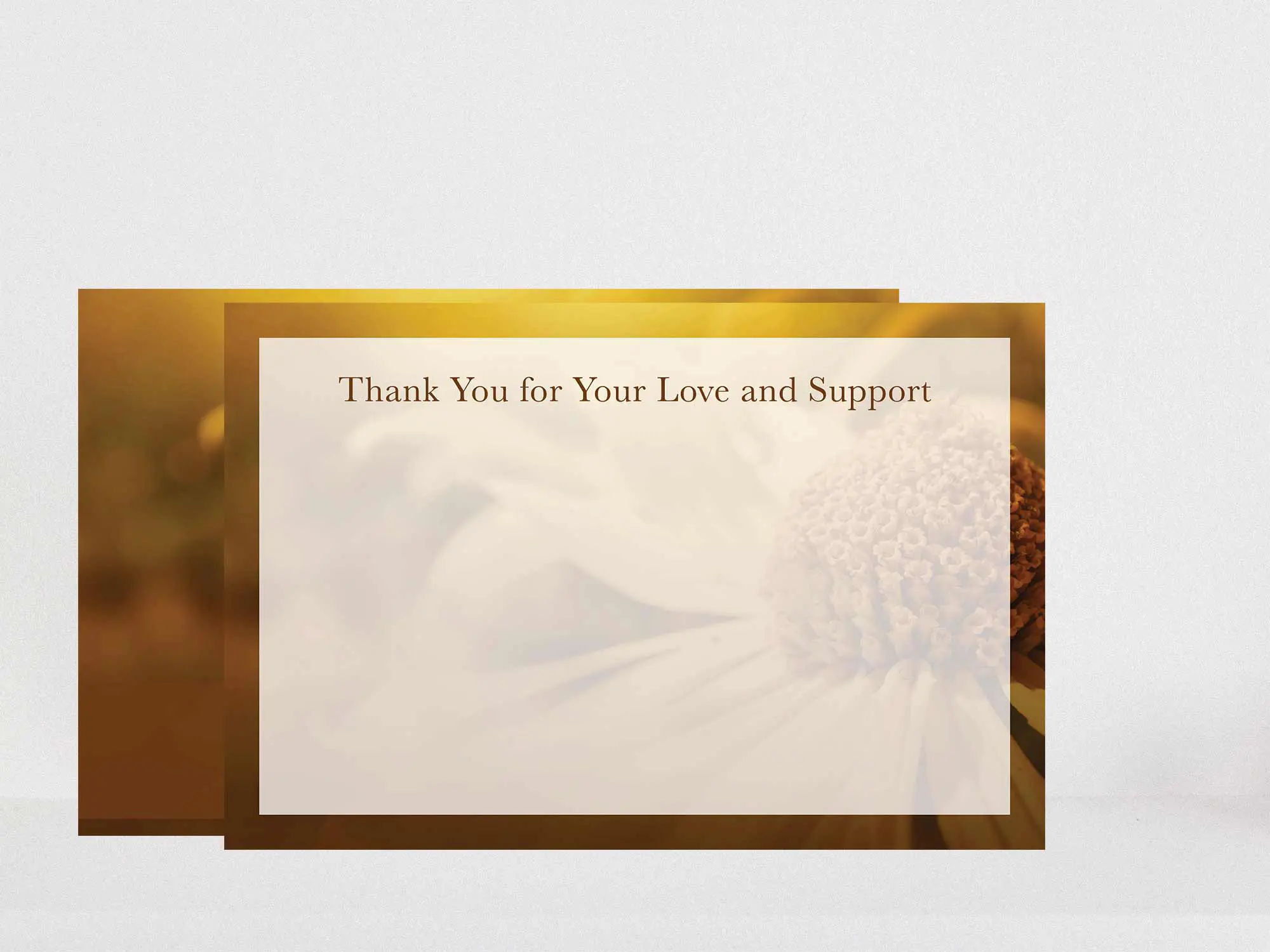 Thank You Card Back